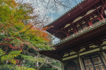 寺の屋根と紅葉