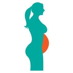 Obraz na płótnie Canvas woman belly fat
