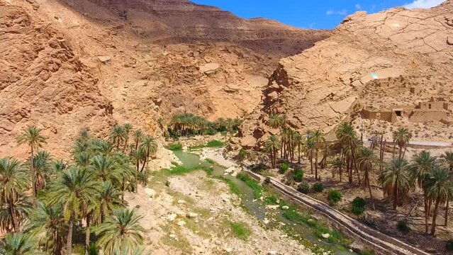 shot of a river in a canyon surrounded by palm trees in the Sahara in Biskra