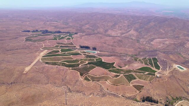 Aerial shot of vineyards in the arid zone within Limary Valley near the Andean mountain range