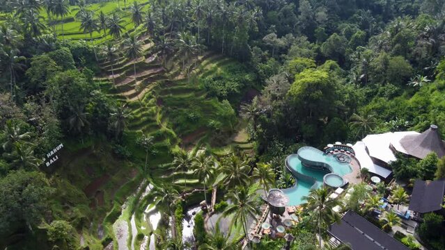 Aerial view of Cretya Ubud by Alas Harum in tegallalang gianyar, Bali.A luxurious jungle day club and restautrant among rice terraces, palm trees and green paddies  with 3 layered azure blue pools.