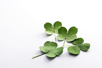 Green clover leaves isolated on white background. St.Patrick 's Day. Generative AI.