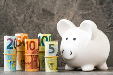 A piggy bank looking to the rolled euro banknotes