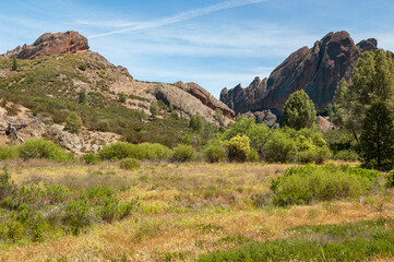 Grassy Field at Pinnacles National Park