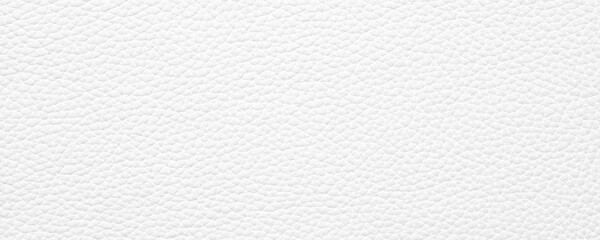 Natural leather texture, white background with empty space