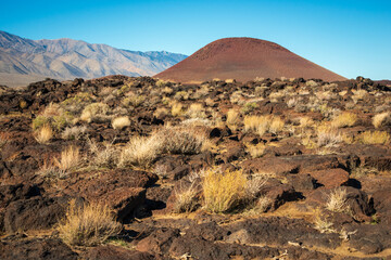 Summer Clear Day at Red Hill Cinder Cone