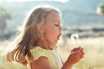 summer season child girl in sunset blowing dandelion nature background