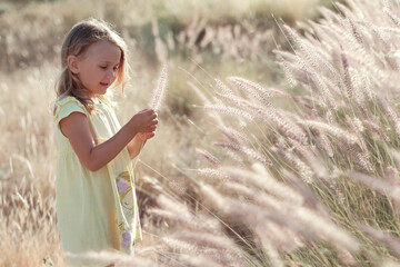 Summer toddler girl in nature in a yellow dress plays with a blade of grass. Beige background pampas grass. copy space. Yellow golden reed in the field. golden sunset light