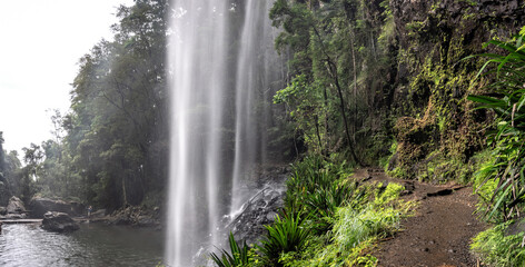 Twin Falls in Springbrook National Park, Queensland, Australia