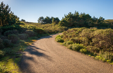 Paved Road and Trail at Point Reyes National Seashore