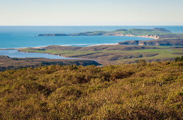 View of the Coast at Point Reyes National Seashore