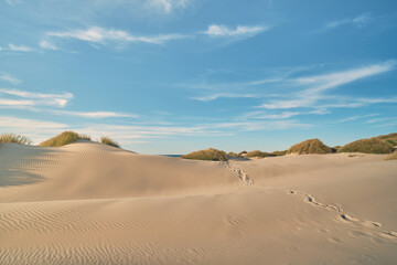 Sand Dunes at danish north sea coast. High quality photo - 586447845