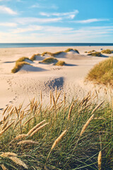 Danish coastline in Summer. High quality photo - obrazy, fototapety, plakaty