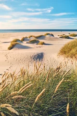 Gordijnen Danish coastline in Summer. High quality photo © Florian Kunde