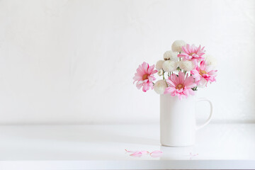 white and pink  chrysanthemums in vintage cup on white background