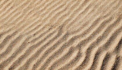 Fototapeta na wymiar High-Quality Sand/Beach Texture - Detail and Color