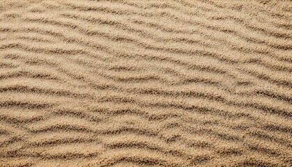 High-Quality Sand/Beach Texture - Detail and Color