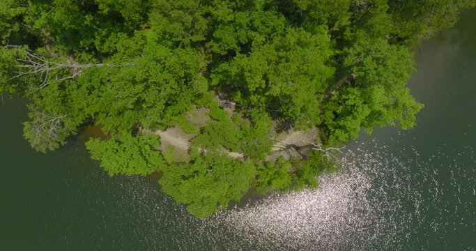 Aerial Top Upward Shot Of Green Trees In Tranquil Forest By Rippled River On Sunny Day - Tuscaloosa, Alabama