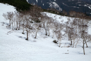 残雪の知床峠（羅臼町）世界自然遺産