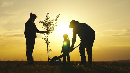 father mother child planting tree sunset. family silhouette. three people water plant plant soil...