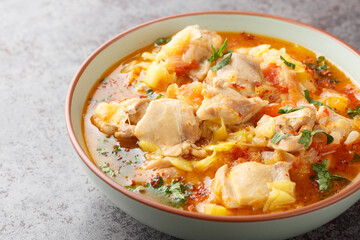 Homemade chicken stew with vegetables such as leek, onion, ginger, tomatoes, garlic and chili close-up in a bowl on the table. Horizontal
