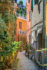 Fototapeta na wymiar Traditional houses in Riomaggiore, Cinque Terre on the Mediterranean Sea, Italy