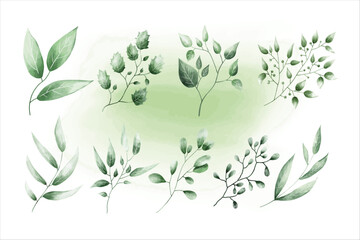 Watercolor leaves, botanical set, green leaves