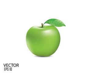 vector illustration green apple design template.