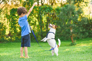 Young owner training dog to stand on hind paws. Pet dog and kid learning tricks together outdoor.