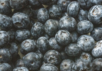 blueberries in a plate