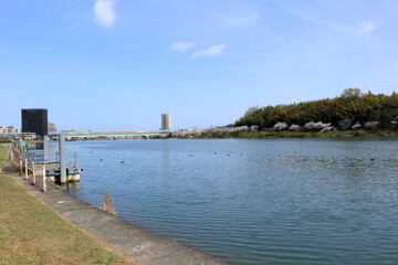 Fototapeta premium 春の瀬田川の風景