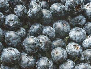 blueberries in a bowl