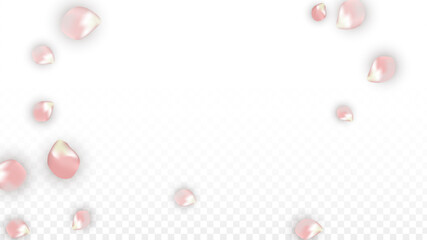 Pink Vector Realistic Petals Falling on Transparent Background.  Spring Romantic Flowers Illustration. Flying Petals. Sakura Spa Design. Blossom Confetti. Design Elements for Wedding Decoration.