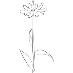 One Line Aesthetic Flower 15
