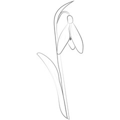 One Line Aesthetic Flower 03