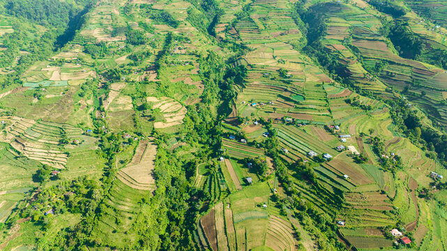 Agriculture and farmland view from above in a mountainous area near the Canlaon volcano. Negros, Philippines
