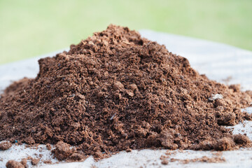 Peat moss, fertilizer soil for organic agriculture, plant growing, ecology concept.