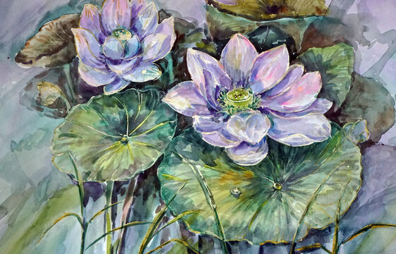 painting  watercolor  abstract color  lotus  flower , waterlily