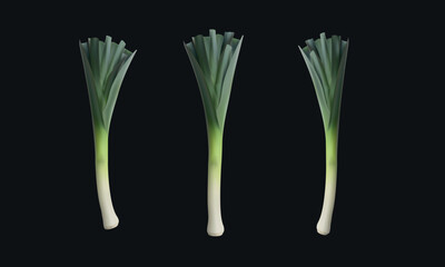 Realistic leek onions vector illustration, fresh vegeterian food cooking ingredients