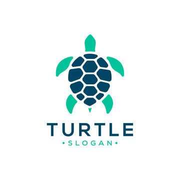 Turtle Shell Logo Images – Browse 8,323 Stock Photos, Vectors, and Video |  Adobe Stock