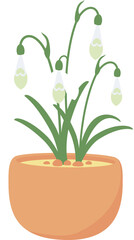 Snowdrop flower in a pot. Flat design.