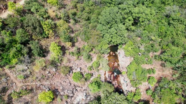 People congregating in the middle of the forest to visit a pond