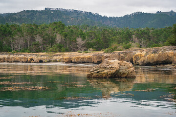 Fototapeta na wymiar Point Lobos State Natural Reserve