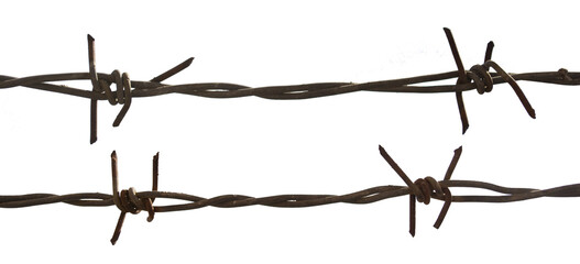 barbed wire isolated