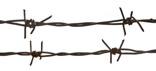 barbed wire isolated