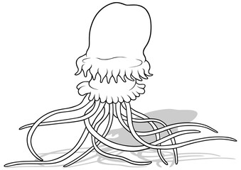 Drawing of a Large Jellyfish with Long Tentacles