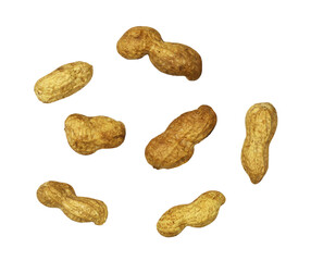 Set of unpeeled peanuts isolated on white or transparent background