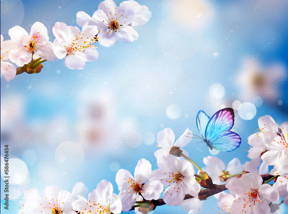 Wall mural blossom tree over nature background with butterfly. spring flowers. spring background. blurred conce