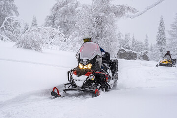 Athletes on a snowmobile moving in the winter forest in the mountains of the Southern Urals