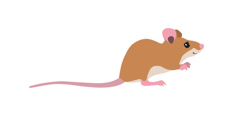 Animal illustration. Sitting mouse drawn in a flat style. Isolated objects on a white background. Vector 10 EPS
